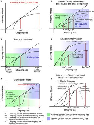 Plant and Animal Reproductive Strategies: Lessons from Offspring Size and Number Tradeoffs